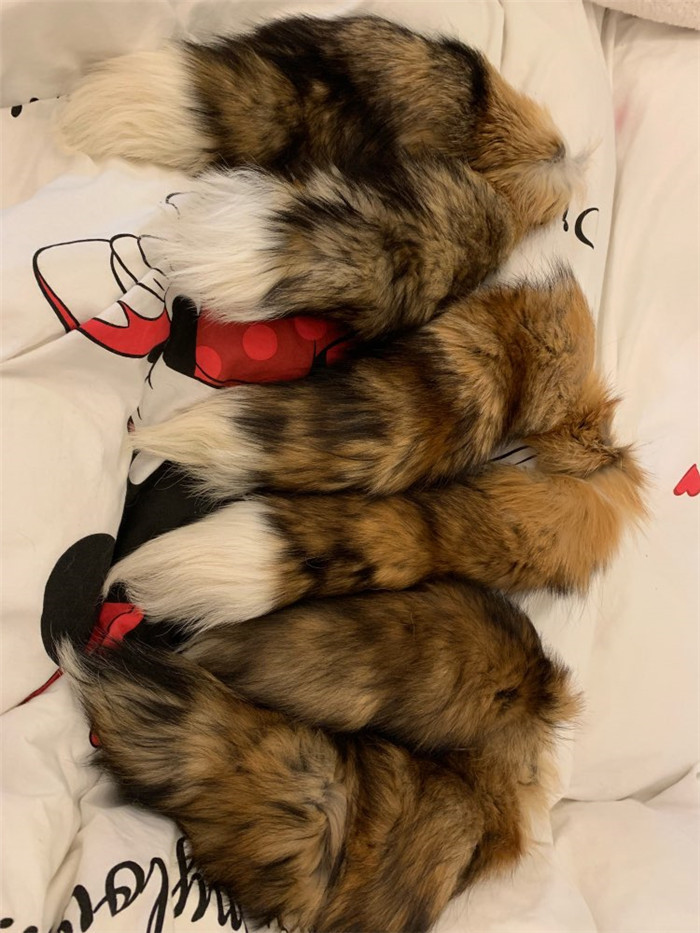 Genuine Fox Fur Scarf For Men Women Natural Collar Wrap Muffler - 8