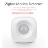 Motion Decetor