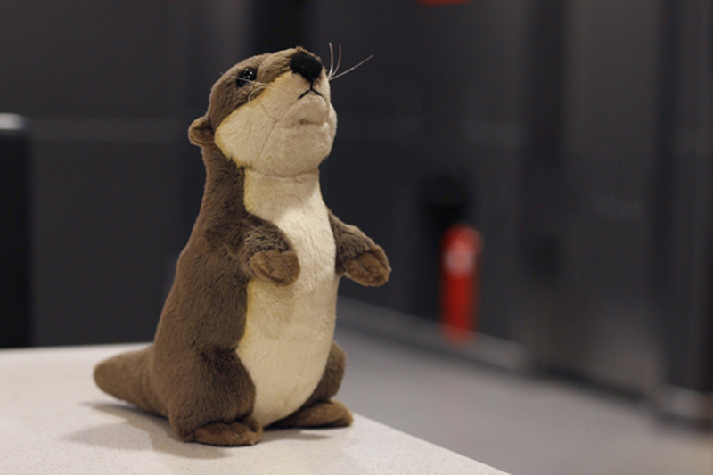 18cm Realistic River Otter Plush Toy Mini Stuffed Animal Ideal Kids Birthday Gift - 8