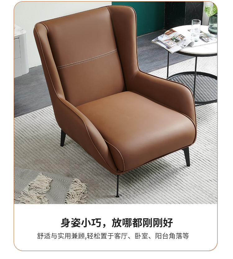 Luxury Nordic Style Recliner Sofa Lounge Chair For Living Room Garden - 10