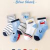 Blue Shark